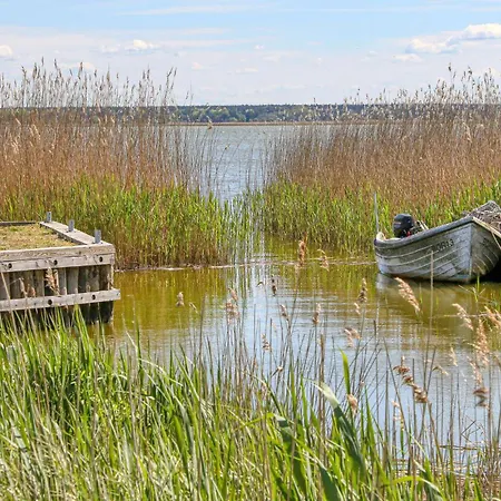 Auf Dem Darss ボルン