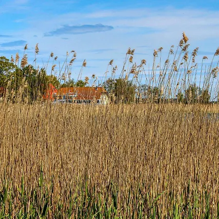 Auf Dem Darss * ボルン